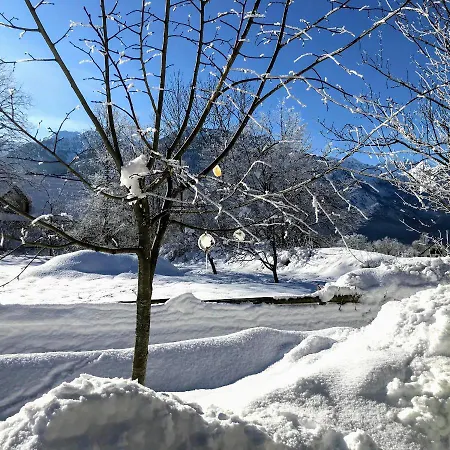 Aurora, * Bohinj