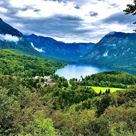 Aurora, Бохинь