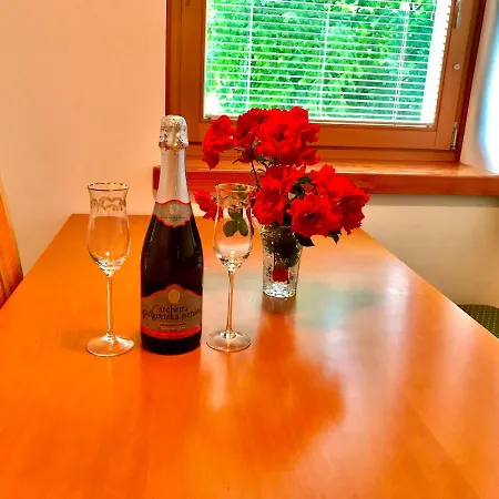 Aurora, * Бохинь