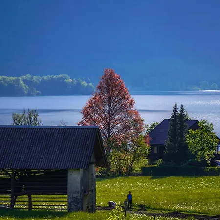 Aurora, Апартаменты Бохинь