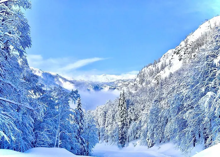 Apartamento Aurora, *